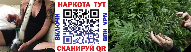 Какие есть наркотики Дигора ГАШИШ  APVP  Галлюциногенные грибы  Конопля  Меф мяу мяу 