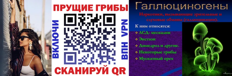 что такое   Дигора  Псилоцибиновые грибы MAGIC MUSHROOMS 